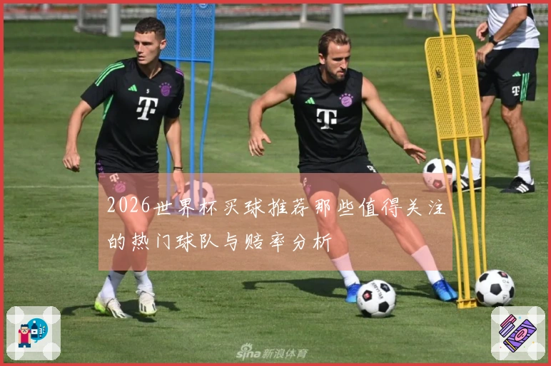 2026世界杯买球推荐那些值得关注的热门球队与赔率分析
