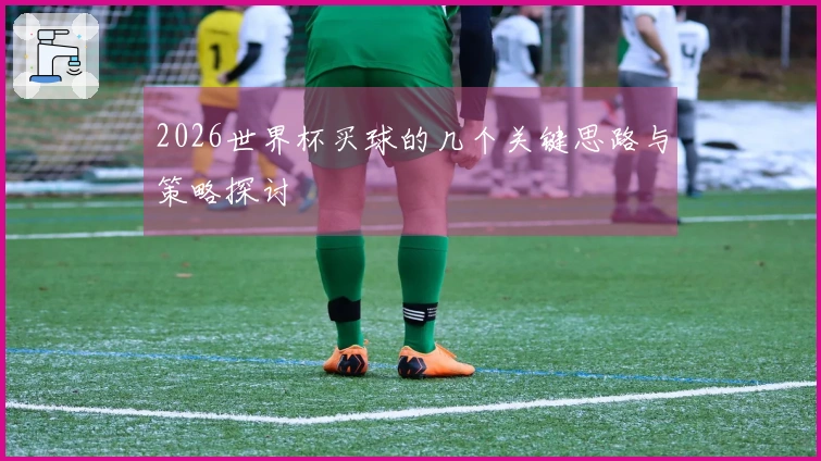 2026世界杯买球的几个关键思路与策略探讨