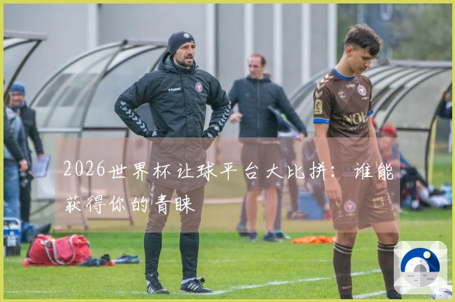 2026世界杯让球平台大比拼：谁能获得你的青睐