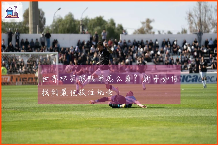 世界杯买球赔率怎么看？新手如何找到最佳投注机会