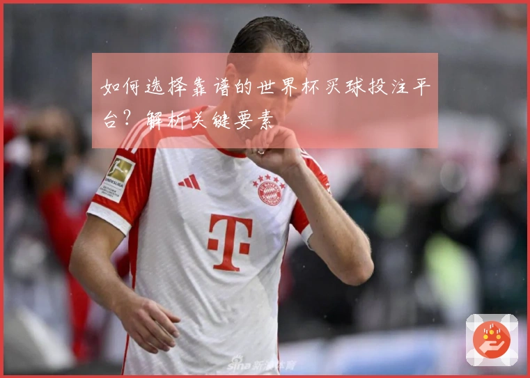如何选择靠谱的世界杯买球投注平台？解析关键要素