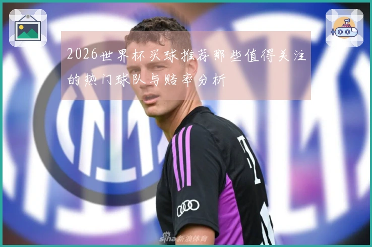 2026世界杯买球推荐那些值得关注的热门球队与赔率分析